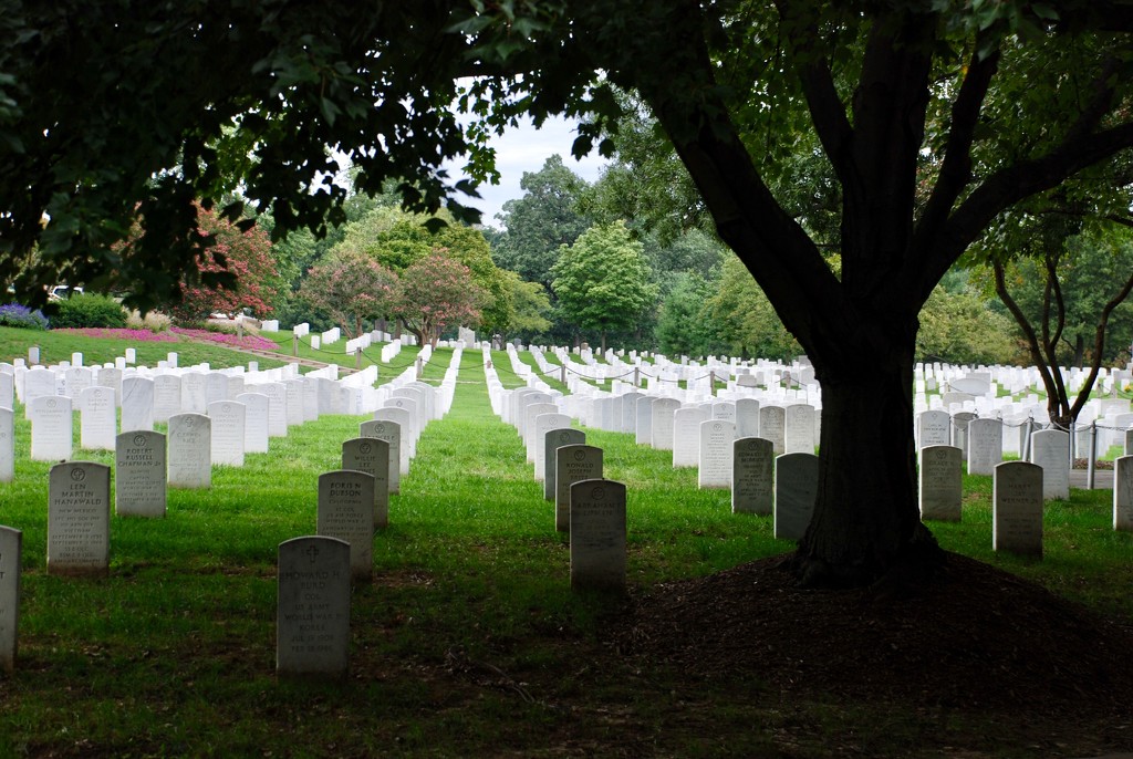 America’s National Cemetery by louannwarren