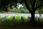 25th May 2020 - America’s National Cemetery