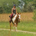 horseback riding by rminer