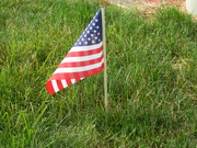 25th May 2020 - American Flag at Veterans Freedom Park