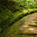 2020-05-26 A Well-worn Path by cityhillsandsea