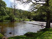 22nd May 2020 - Stepping Stones