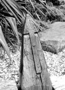 26th May 2020 - Wooden Post ~ b&w