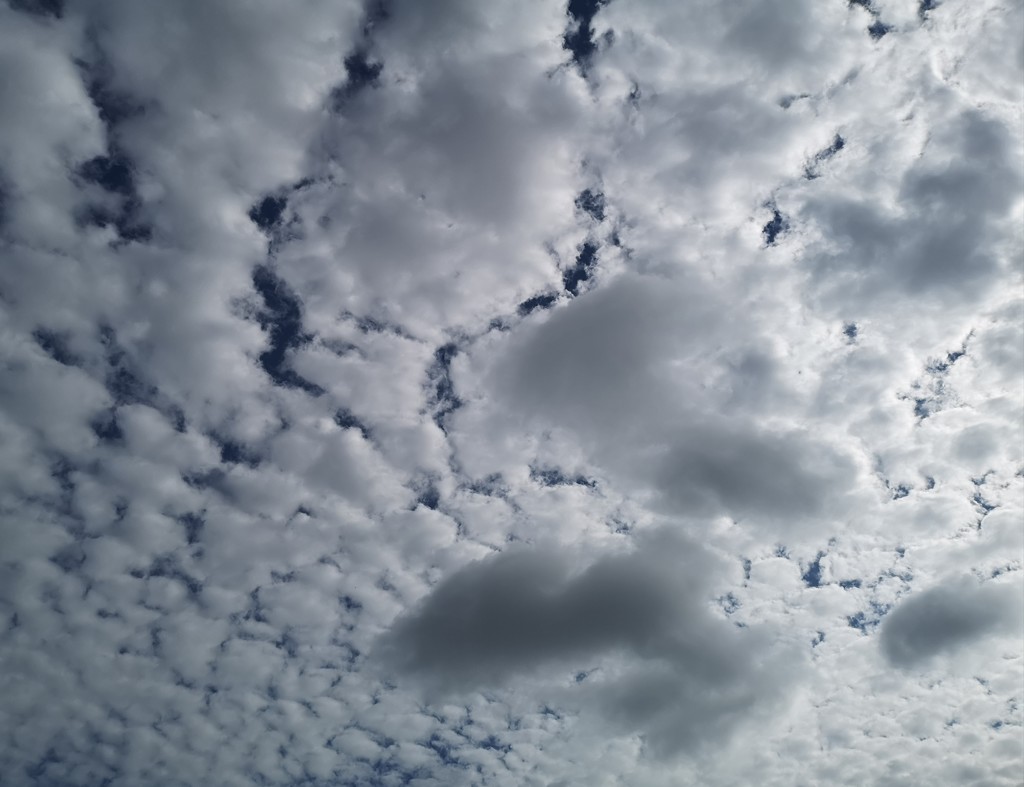 Today's Clouds by plainjaneandnononsense