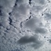 Today's Clouds by plainjaneandnononsense