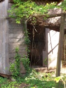 26th May 2020 - Old chicken house