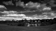 27th May 2020 - Evening By The Pond