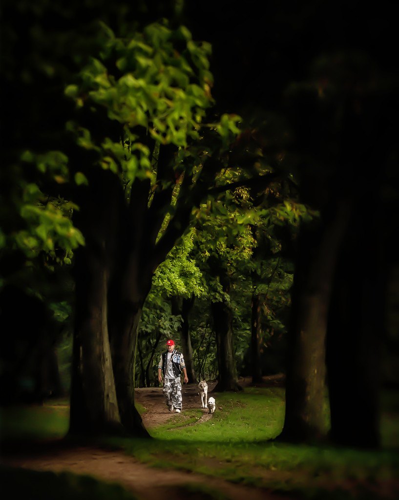 a walk in the park by jerome