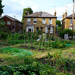 Allotment by 365nick