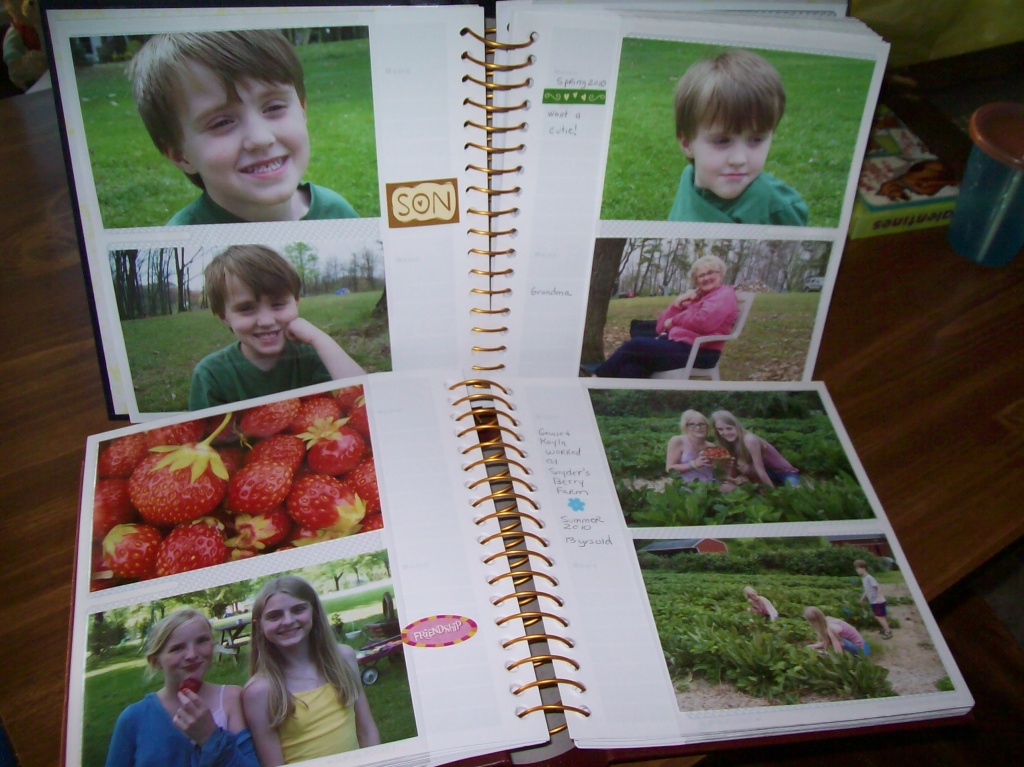 Photo Albums by julie