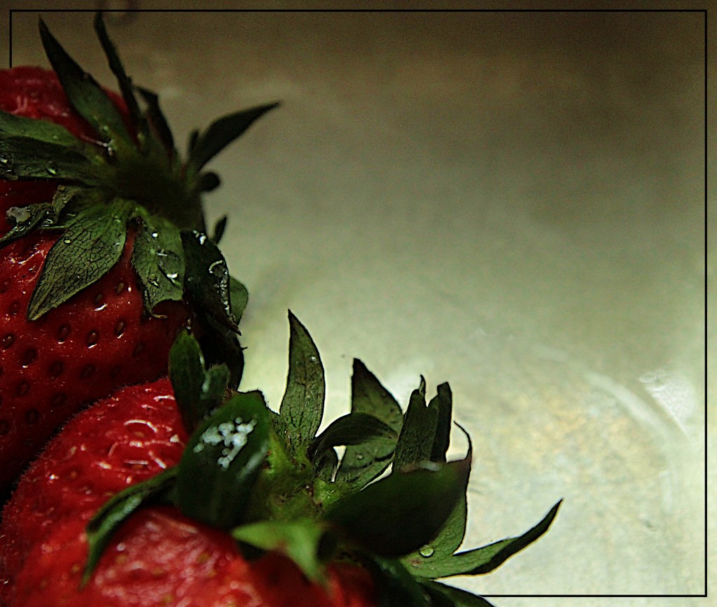 Half Strawberries by olivetreeann