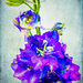larkspur with textures by jernst1779