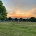 Sunset on the green by tinley23