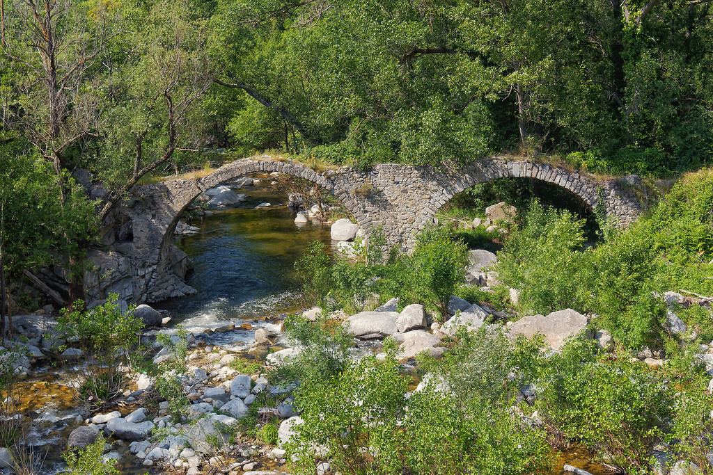 Ruisseau de Rapane, Prats-de-Sournia, Pyrenees-Orientales. by laroque
