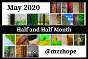 28th May 2020 - Half and Half Month 