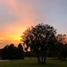 Sunset tonight at Hampton Park by congaree
