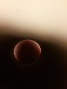 28th May 2020 - made a planet with my leg and a toilet paper tube