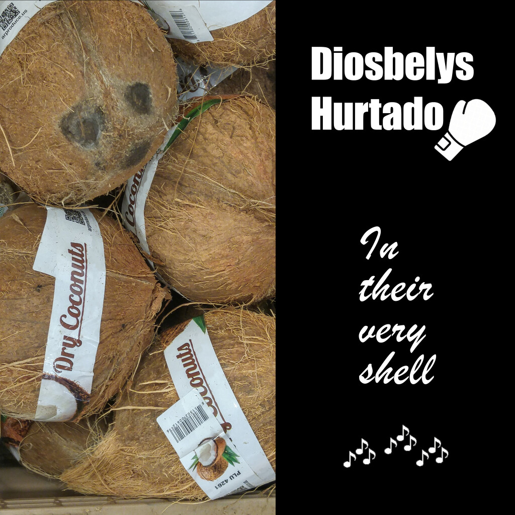 Disobelys Hurtado - In their very shell by marlboromaam