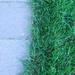 Half brick/half grass by jb030958