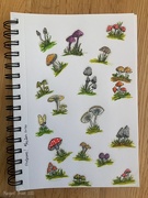 29th May 2020 - Shroom note cards