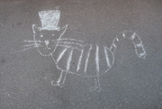 29th May 2020 - The Cat in the Hat