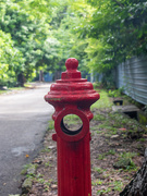 7th May 2020 - Fire-Hydrant