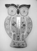 30th May 2020 - Owl Thermometer ~ b&w