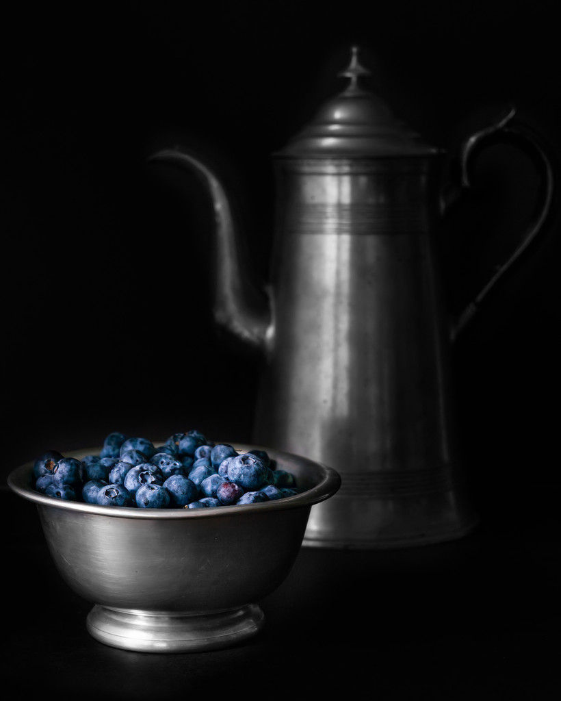blueberries by jernst1779