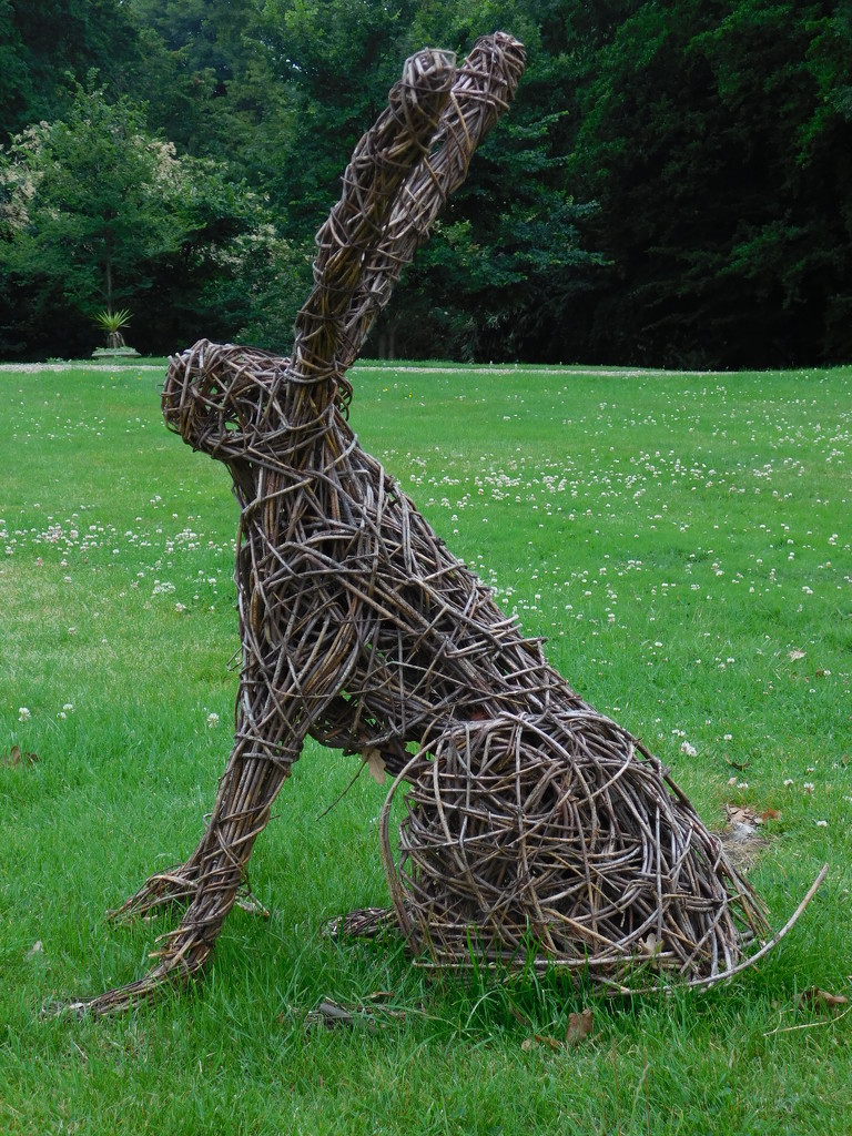Part of a Parliament of Hares by 365anne