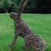 Part of a Parliament of Hares by 365anne