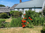 31st May 2020 - Cottage garden