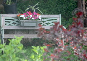 31st May 2020 - Decorated bench in our neighbor's garden
