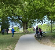 21st May 2020 - Social distancing in the park 