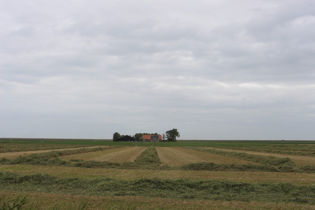 Farm and hay by pyrrhula