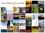 1st Jun 2020 - May Half and Half Calendar View
