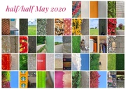 1st Jun 2020 - Half/half, May 2020 