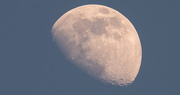 31st May 2020 - Afternoon Moon!