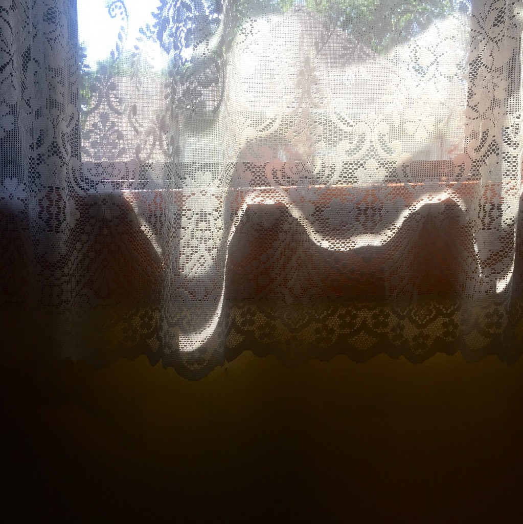 Sunlight through lace curtain by mcsiegle