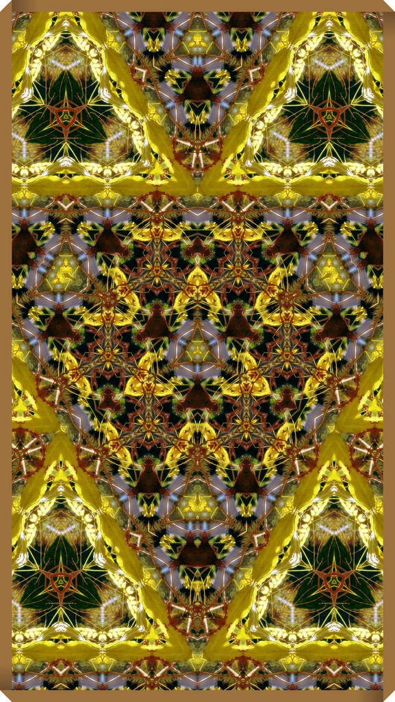 Patterns by maggiemae