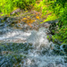 Amicalola Falls by k9photo