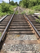 1st Jun 2020 - Ride the rails