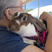 Theraputic Snuggle Bunny by homeschoolmom