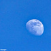 Moon by larrysphotos