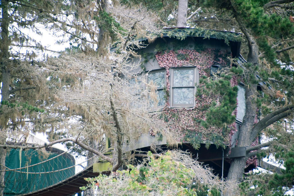 treehouse by sjc88