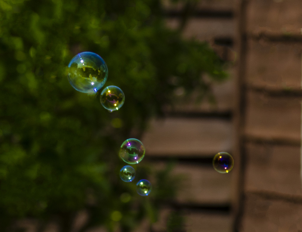 Soap Bubbles by clivee