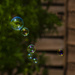 Soap Bubbles by clivee