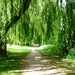 Path beside the River Ouse by fishers