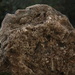 Rock as a part of nature by suez1e