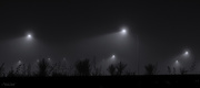3rd Jun 2020 - Silhouettes in the Fog