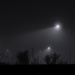 Silhouettes in the Fog by nickspicsnz